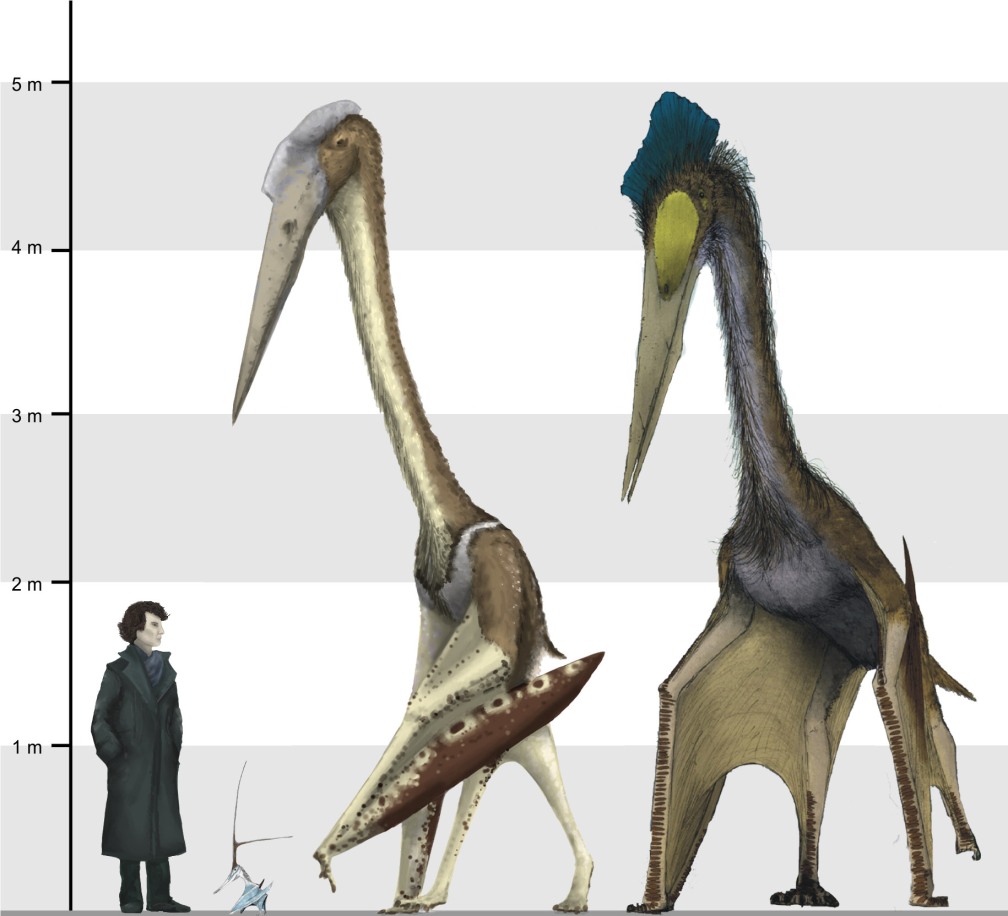 Arambourgiania,_Nyctosaurus_and_Quetzalcoatlus_scale